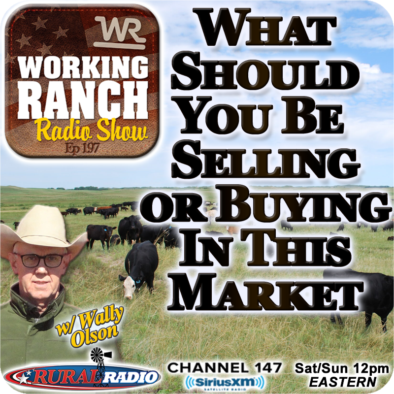 Ep 197: What Should You Be Selling and Buying in this Market w/ Wally Olson