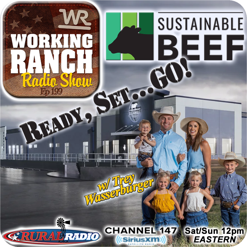 Ep 199: Sustainable Beef LLC… Set to Open! w/ Trey Wasserburger