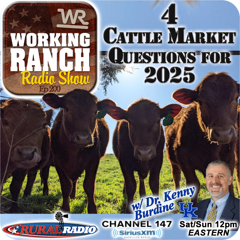 Ep 200: 4 Cattle Market Questions We Hope To See Answered in 2025