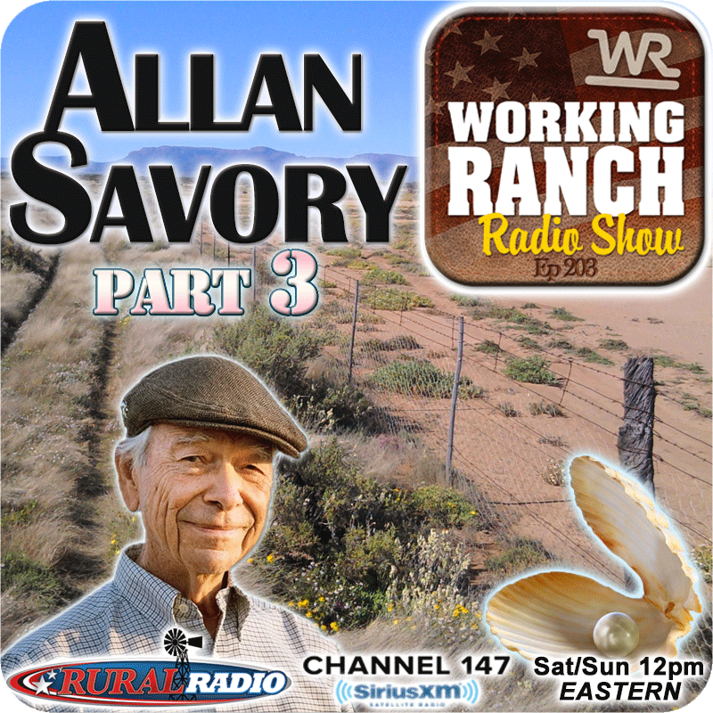 Ep 203: Allan Savory – Part 3: Pearls of Wisdom