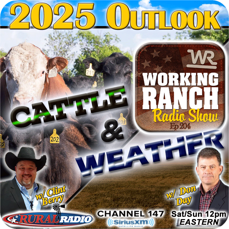Ep 204: 2025 Outlook – Markets & Weather