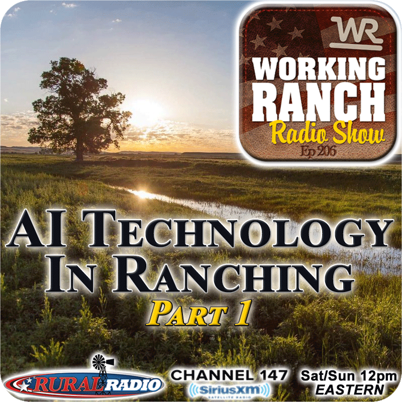 Ep 206: AI Technology In Ranching: Part1