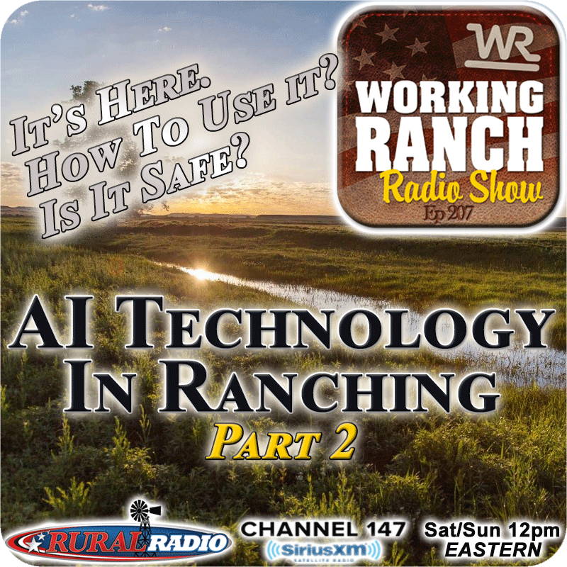 Ep 207: AI Technology: Part2 – It's Here, How Do We Use it ... Is It Safe?