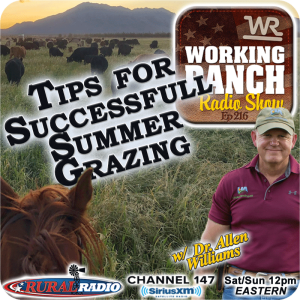 Ep 216: Tips for Successful Summer Grazing w/ Dr. Allen Williams