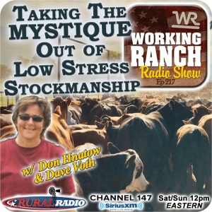 Ep 217: Taking The Mystique Out of Low Stress Cattle w Dawn Hnatow