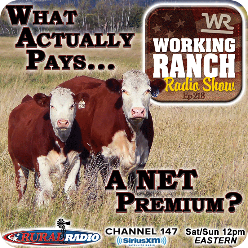 Working Ranch Radio Show