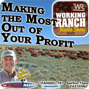 Ep 220: Making the Most Out ofYour Profit with Dallas Mount