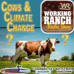 Ep 22: Are cows a cause for climate change?