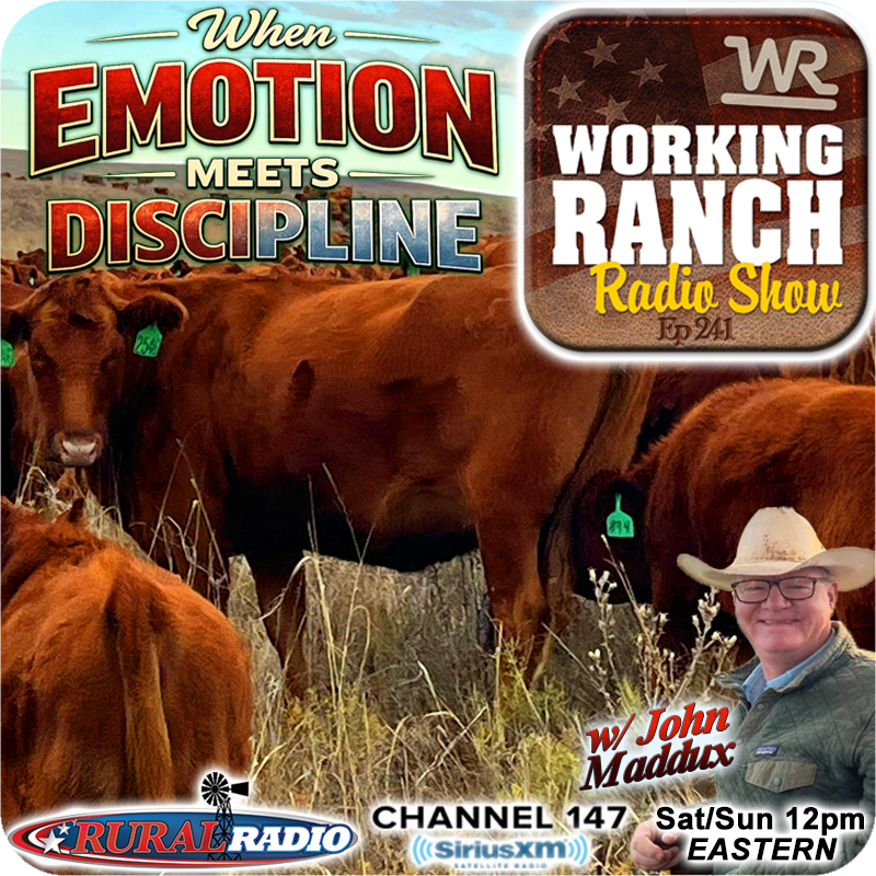 Ep 241: When Emotion Meets Discipline in the Cow Herd w/ John Maddux Ep 241: When Emotion Meets Discipline in the Cow Herd w/ John Maddux