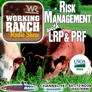 Ep 26: Risk Mitigation with LRP & PRF