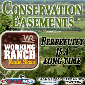 Ep 27: Conservation Easements: Proceed with caution... Perpetuity is a long time.