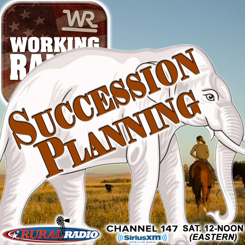 Epi 28: Succession Planning... The Elephant in the Room