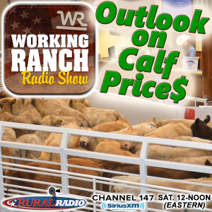 Ep 34: Outlook for Calf Market.