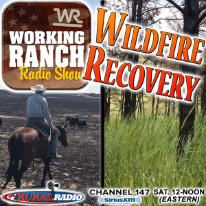 Ep 35: Ranch Recovery Following a Wildfire