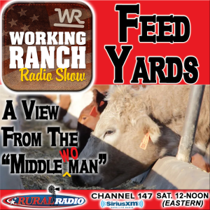 Ep 37: Feed Yards… a view from the “Middle-Woman”.