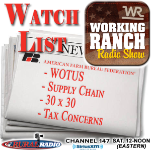 Ep 38: Watch List… The current state of affairs in Washington D.C.