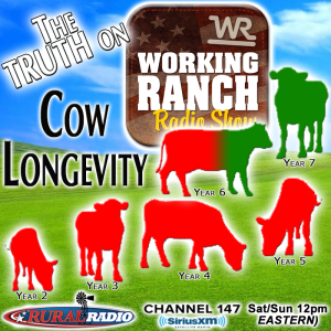 Ep 39: The TRUTH on Cow Longevity