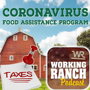 Ep 3: Tax liabilities with COVID Assistance Programs and Estate Planning due to changes in Washington DC.