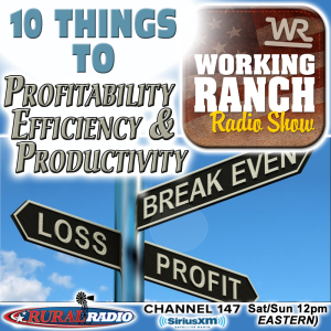Ep 41: 10 Things to Profitability, Efficiency & Productivity