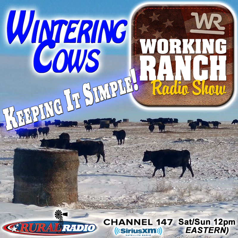 Ep 42: Winter Nutrition – Keeping it Simple!