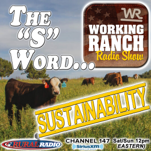 Ep 43: It’s the S Word… Sustainability.