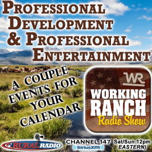 Ep 45: Upcoming Events - Professional Development & Professional Entertainment