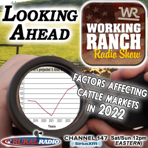 Ep 48: Looking Ahead…Factors Affecting Cattle Markets in 2022