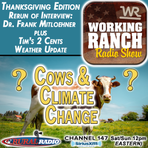 Ep 49: Thanksgiving Edition: Cows and Climate Change