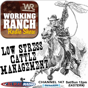 Ep 52: Low Stress Cattle Management