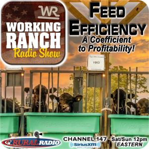 Ep 57: Feed Efficiency… A Coefficient to Profitability!