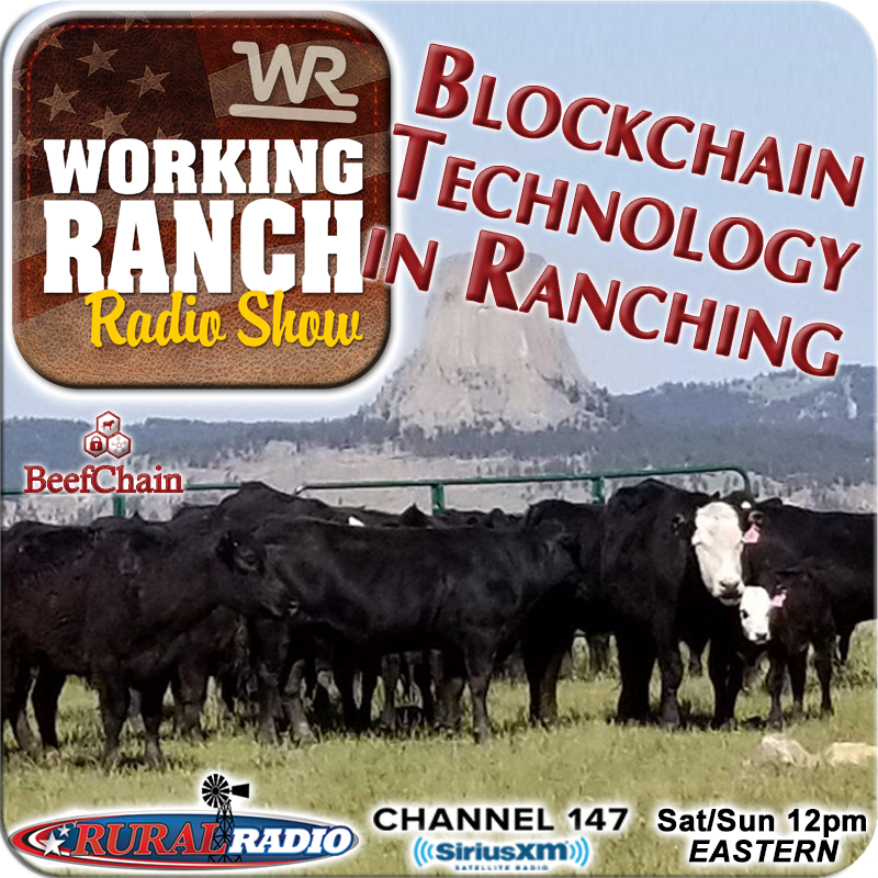 Ep 63: Blockchain Technology in Ranching.