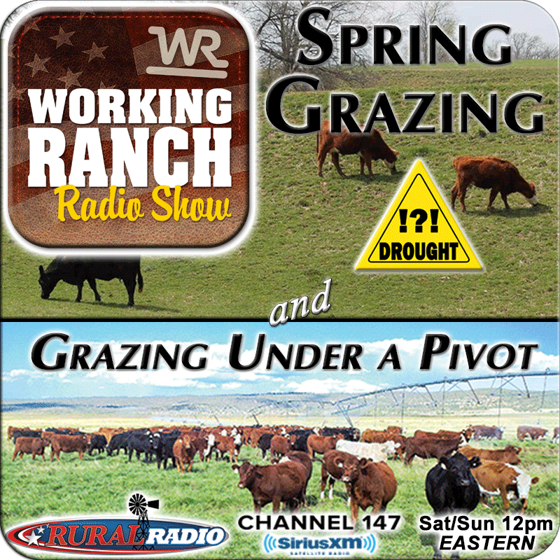 Ep 64: Spring Grazing with Drought Uncertainty & Grazing Under a Pivot