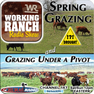 Ep 64: Spring Grazing with Drought Uncertainty & Grazing Under a Pivot
