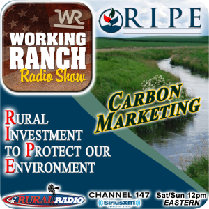 Ep 68: RIPE100... A plan to provide a Carbon Market.