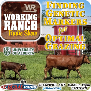 Ep 69: Finding the Genetic Markets for an Optimal Grazing Cow