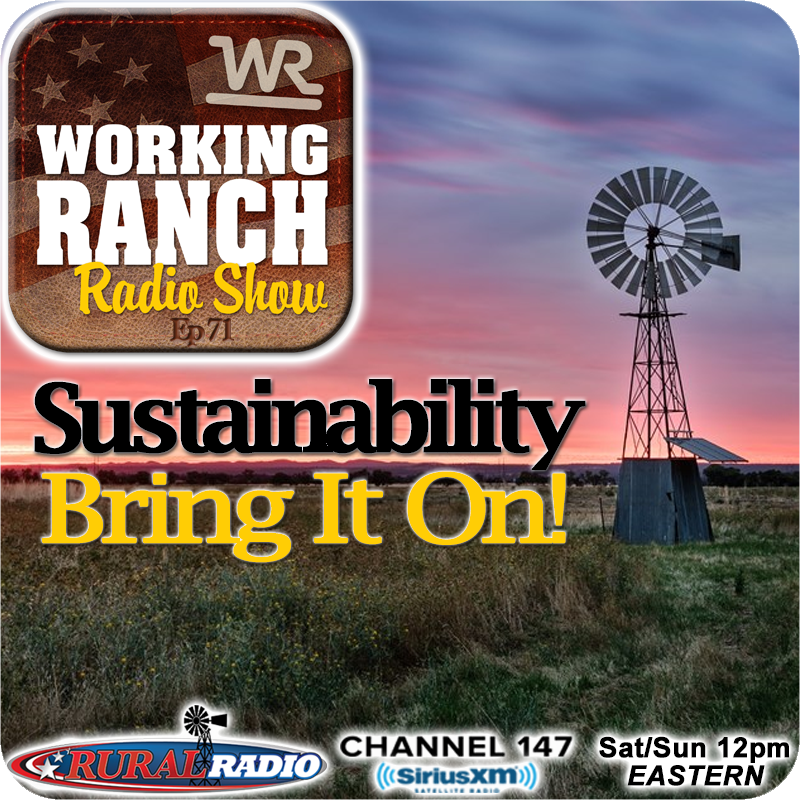 Ep 71: Sustainability… Bring It On!