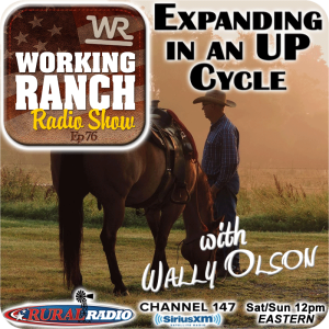 Ep 76: Expanding Your Cattle Herd in an UP Market
