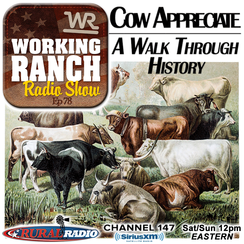 Ep 78: Cow Appreciate: A Walk Through History