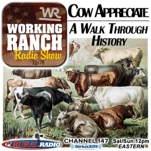 Ep 78: Cow Appreciate: A Walk Through History