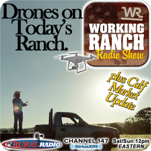 Ep 79: Drones on Today’s Ranch... plus Calf Market!