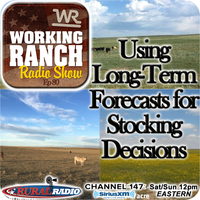 Ep 80: Using Long-Term Forecasts for Stocking Decisions