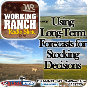 Ep 80: Using Long-Term Forecasts for Stocking Decisions