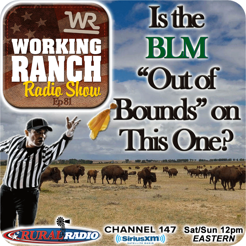 Ep 81: Is the BLM ”Out of Bounds” on This One?