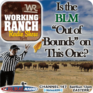 Ep 81: Is the BLM ”Out of Bounds” on This One?