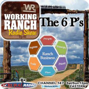 Ep 82: The 6 P’s to a Healthy Ranching Business