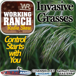 Ep 84: Invasive Grasses… Control Starts with You