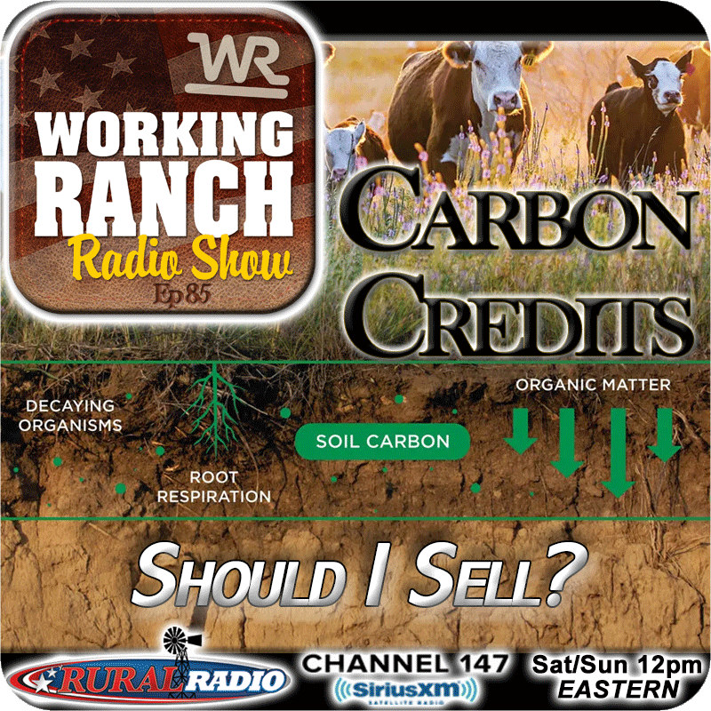 Ep 85: Should I Sell My Carbon Credits?