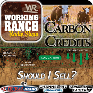 Ep 85: Should I Sell My Carbon Credits?
