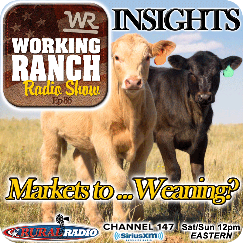 Ep 86: Insights:  From Markets to… Weaning?