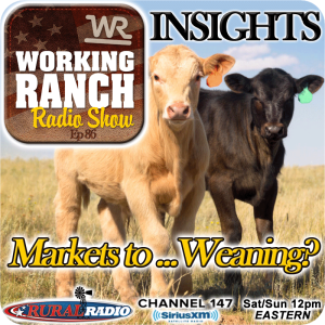 Ep 86: Insights:  From Markets to… Weaning?